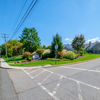 A sunny intersection in a residential area with lush greenery and clear blue skies.