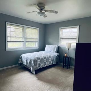 A minimalist bedroom with a single bed, featuring blue walls and large windows.