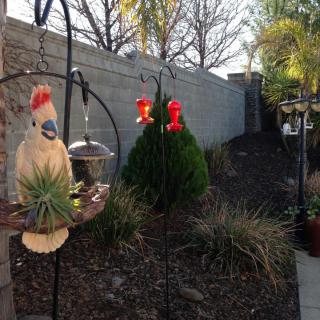 A tranquil garden scene featuring decorative and hummingbird feeders among plants.