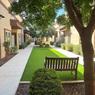 A peaceful courtyard lined with trees and benches, flanked by buildings.