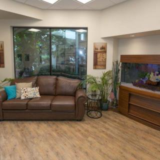 A cozy waiting room with a leather sofa, vibrant fish tank, and lush indoor plants.