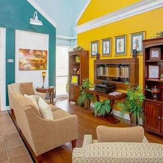 A vibrant living room with colorful walls and modern decor, featuring cozy furniture and lush indoor plants.