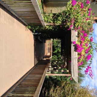 A wooden bridge leading to a pergola adorned with vibrant flowers.