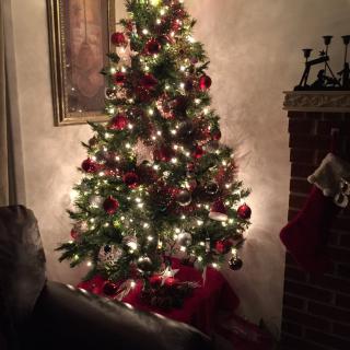 A beautifully decorated Christmas tree with lights and ornaments beside a fireplace.