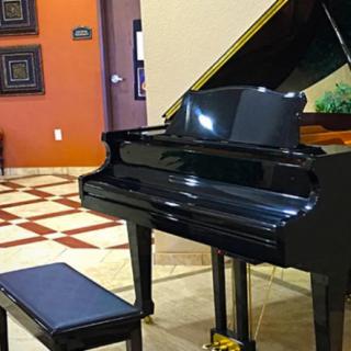A grand piano with a bench in a beautifully decorated music room.