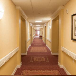 A hotel hallway with a red carpet and evenly spaced doors.