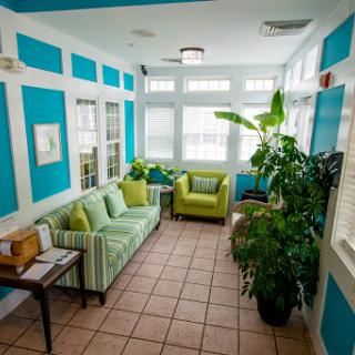 A cozy living space featuring green and blue decor, with comfortable seating and vibrant plants.