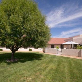 A well-maintained yard with a tree, house, and clear blue sky.