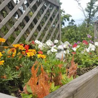 A vibrant display of blooming flowers in a garden, showcasing the beauty of nature.