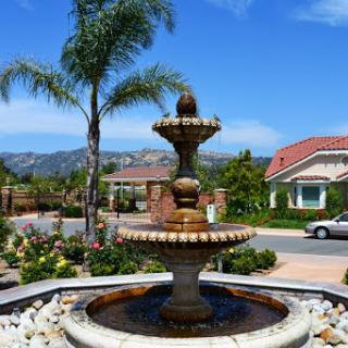 A beautiful garden fountain surrounded by palm trees and a picturesque residential neighborhood.