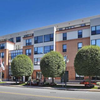 A modern hotel building with neatly trimmed trees along the street.
