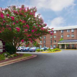 A hotel building with a flowering tree and a parking lot in the foreground.