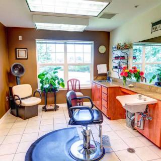 A well-lit hair salon interior with chairs, a mirror, and plants.