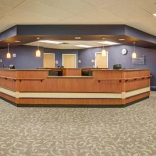 A modern reception area with a spacious desk and elegant lighting.