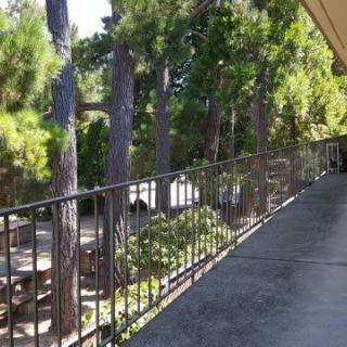 A sunny balcony with railing overlooks a lush, tree-filled area.