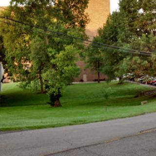 A serene view of a park area with lush green grass and trees, adjacent to a building.