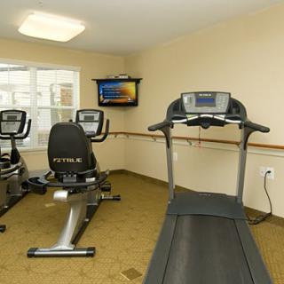 A small indoor gym featuring a treadmill and exercise bikes.