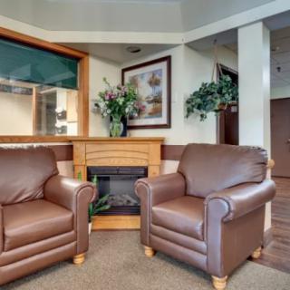 A cozy living room area with two brown armchairs, a fireplace, and decorative elements.