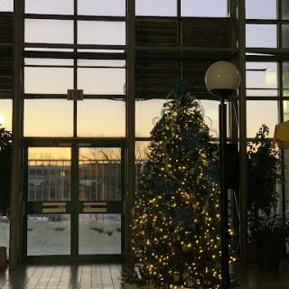 A beautifully decorated Christmas tree illuminated with lights, set against the backdrop of a sunset streaming through large windows.