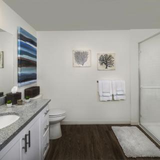 A modern bathroom with a sleek countertop, large shower, and contemporary wall art.