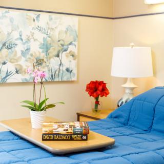 A cozy bedroom setup featuring blue bedding, a side lamp, wall art, and a tray with books and an orchid plant.