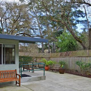 A serene patio area with a bench and potted plants, surrounded by trees and a wooden fence.