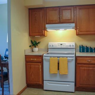 A cozy kitchen with wooden cabinets, featuring a stove adorned with yellow towels and a potted plant on the countertop.