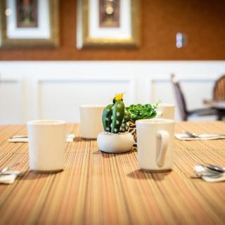 A wooden dining table is neatly set with white mugs and a small cactus centerpiece, creating a cozy and inviting atmosphere.