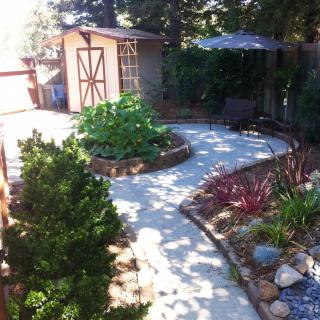A serene garden with a pathway leading to a wooden shed, surrounded by vibrant plants.