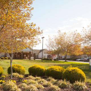 A serene autumn landscape with trees and bushes under warm sunlight.