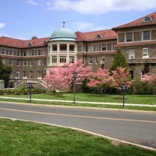 A beautiful historical building surrounded by blooming cherry blossom trees on a sunny spring day.