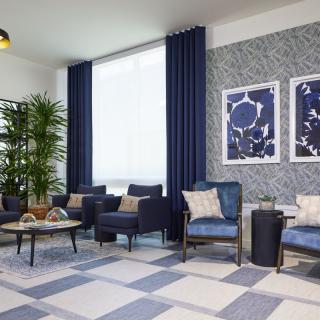 A modern living room featuring a blue and gray color scheme with stylish armchairs, a coffee table, curtains, wall art, and indoor plants.