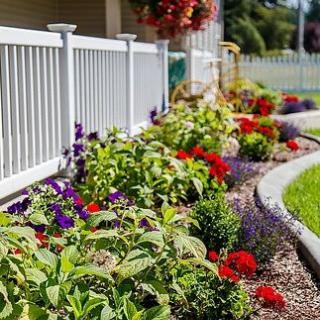 A vibrant garden with various colorful flowers along a white fence.