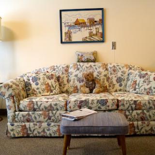 A cozy living room scene featuring a floral-patterned couch and a small table, with a cat nestled comfortably.