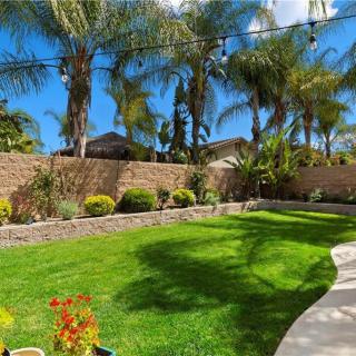 A sunny backyard with a lush lawn, palm trees, and garden landscaping.