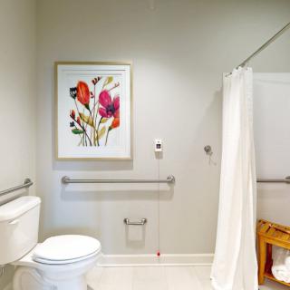 An accessible bathroom with grab bars, a shower with a curtain, and floral artwork on the wall.