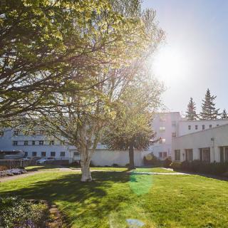 A sunny day with trees and a building in the background.