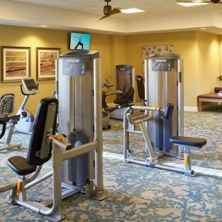 A well-equipped gym with various exercise machines and a comfortable setting.