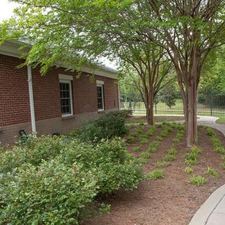 A landscaped garden with trees and bushes alongside a brick building and a curved pathway.