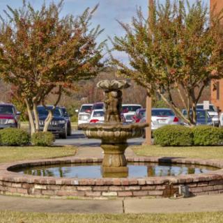 A fountain surrounded by trees and parked vehicles in an outdoor setting.