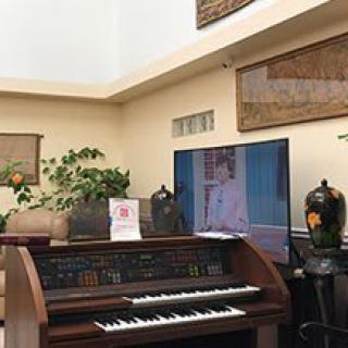 A cozy living room featuring an organ, television, and decorative plants.