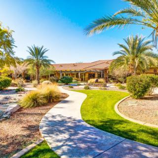 A beautifully landscaped garden with palm trees and a winding pathway on a sunny day.