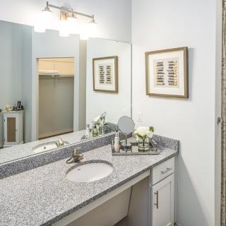 A well-lit bathroom with a granite countertop, featuring a sink and decorative elements on the vanity.