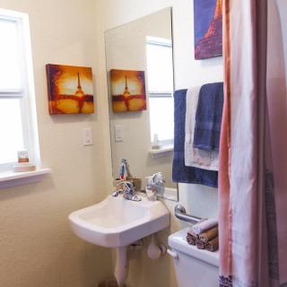 A cozy bathroom with a sink, mirror, and decorative wall art.