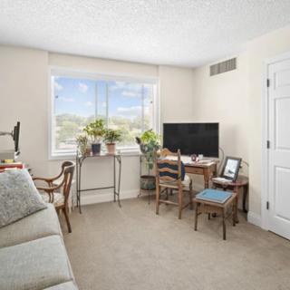A cozy living room with a home office setup featuring a desk, chair, sofa, and television near a window adorned with plants.