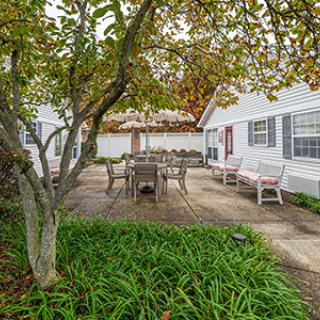 A peaceful backyard patio with outdoor seating surrounded by greenery and a large tree.