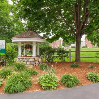 A charming garden scene with a small gazebo surrounded by lush greenery.