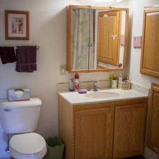 A well-organized bathroom featuring a sink with a mirror, toilet, and wooden cabinets.