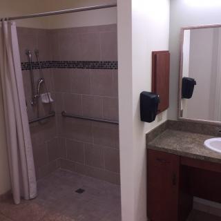 Accessible bathroom with a shower and sink area.