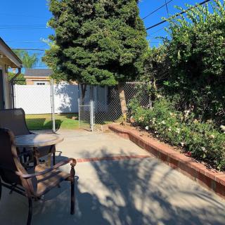 A sunny backyard patio with outdoor furniture, surrounded by a garden and trees.